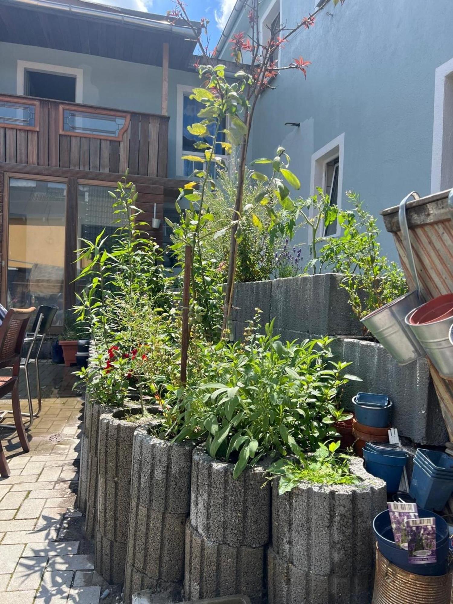 Antike Wohnmoeglichkeit Kurz Und Langfristig 100Qm Erdgeschoss Apartment Lauchhammer Exterior foto