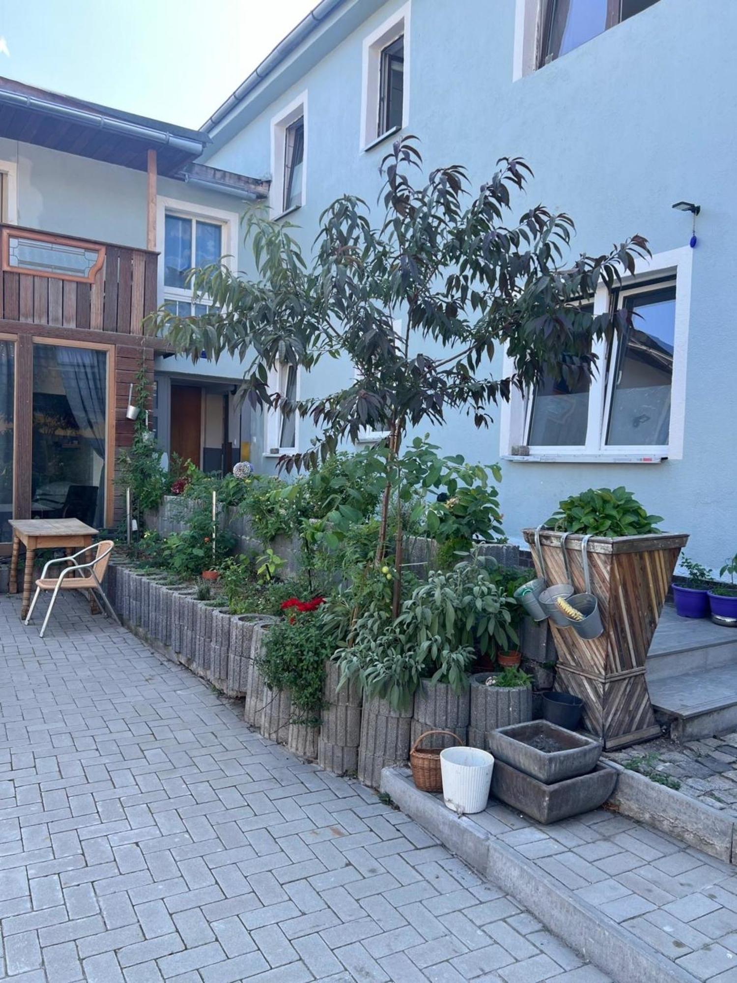 Antike Wohnmoeglichkeit Kurz Und Langfristig 100Qm Erdgeschoss Apartment Lauchhammer Exterior foto